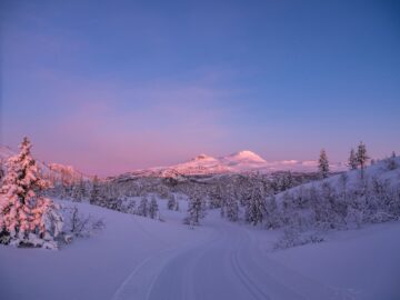 Skispor med gaustaknærne